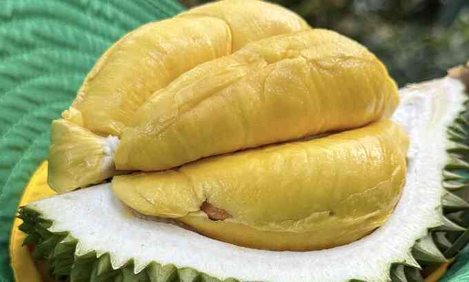 Gỡ nút thắt cho xuất khẩu sầu riêng sang Trung Quốc