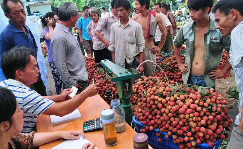 Loạt trái cây quý tộc Trung Quốc giảm giá sâu, có loại quả 