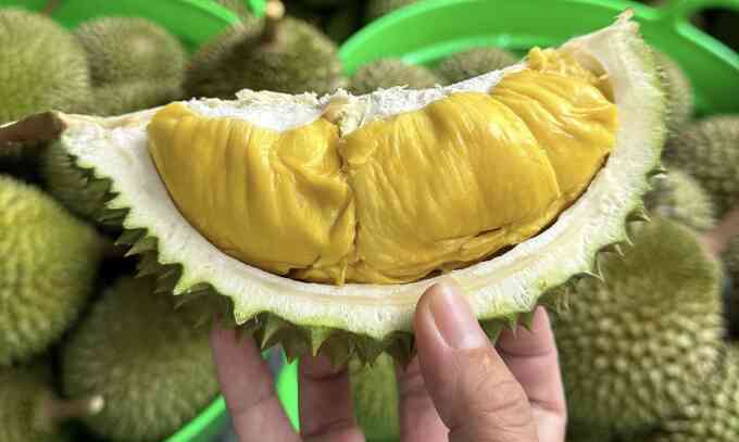 Mẹo chọn sầu riêng chín tự nhiên, không hóa chất