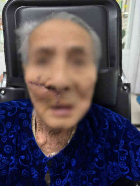 Giòi 
