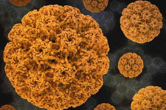 Những điều cần biết về HPV