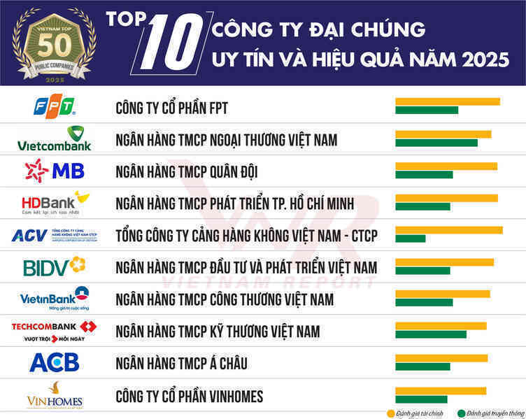 Top 50 Công ty Đại chúng uy tín và hiệu quả năm 2025