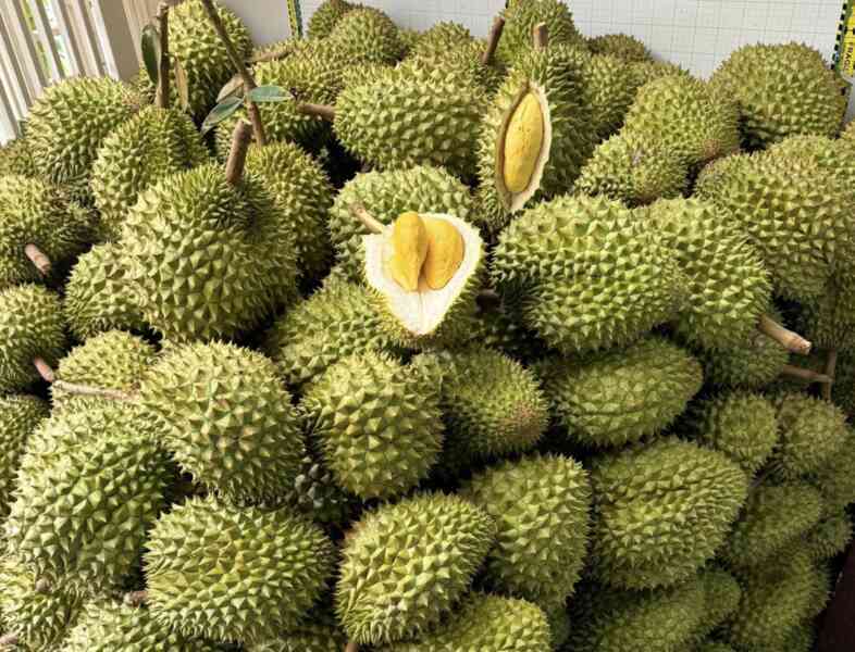 Sầu riêng bị Trung Quốc trả về, DN gửi thẳng lên Thủ tướng một chuyện bất thường
