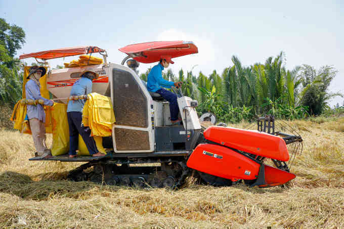 VCCI kiến nghị bỏ rào cản với doanh nghiệp xuất khẩu gạo
