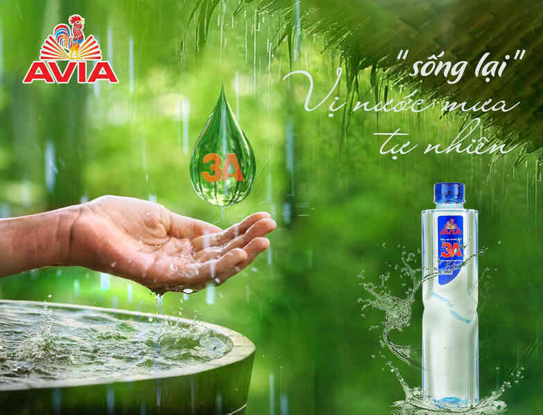 AVIA 3A: Đánh thức hương vị thật trong từng ly trà, cà phê và sữa