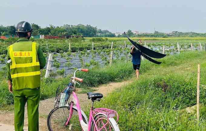 Phát hiện diều khi máy bay đang hạ cánh ở Nội Bài