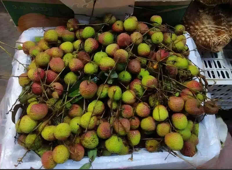 Vải thiều Trung Quốc có loại hơn 1 triệu đồng/kg, thổi lên thành hàng xa xỉ