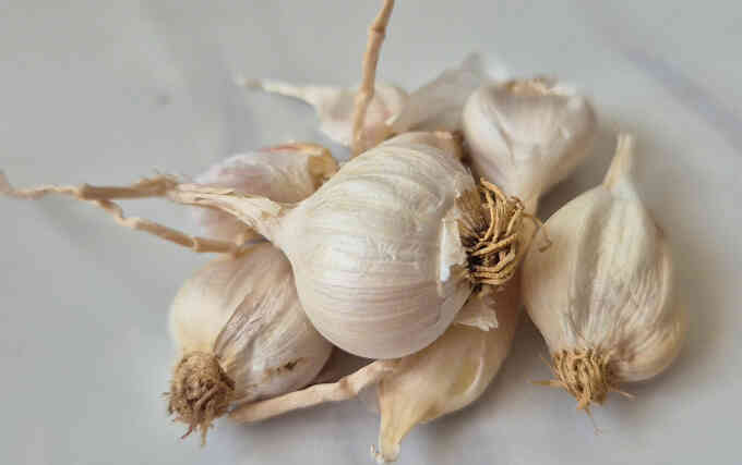 Thực hư ăn tỏi sống giúp tăng sinh lý