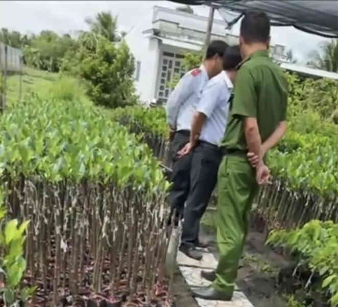 Vụ hỏi ‘chứng chỉ ghép cây` ở Hậu Giang, lãnh đạo Sở Nông nghiệp và Môi trường nói gì?