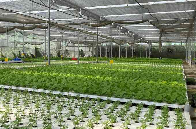 Từ 1/7, dự án nông nghiệp tuần hoàn được vay 70% vốn không cần thế chấp