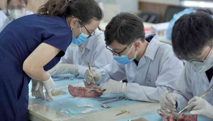 Loạt đại học tuyển ngành Y khoa bằng tổ hợp có Tiếng Anh