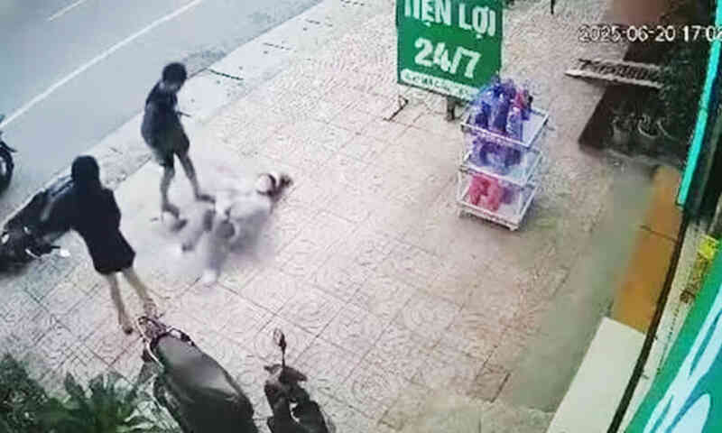 Công an điều tra vụ nam thanh niên đánh dã man 2 cô gái