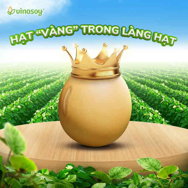 Đậu nành - hạt ‘vàng’ trong làng hạt