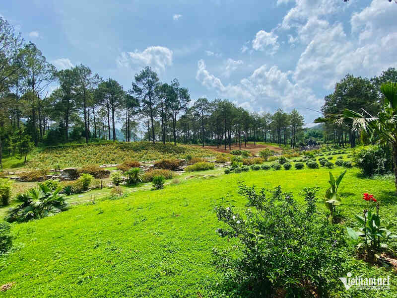 Những lưu ý quan trọng khi làm homestay trên đất nông nghiệp