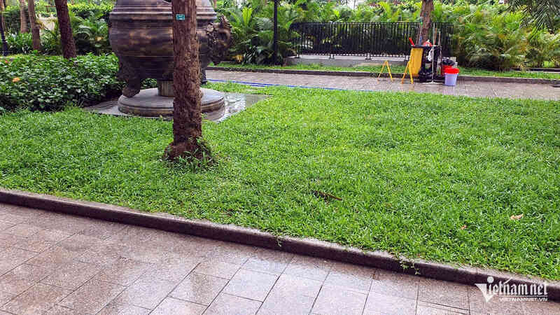 Em trai bất lực nhìn anh nhảy từ tầng 39 chung cư cao cấp ở Hà Nội