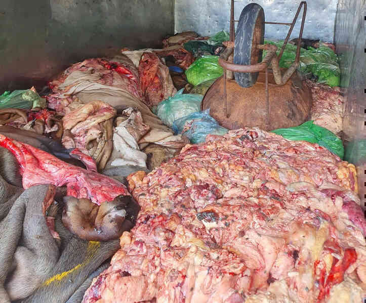 Xe tải chở hơn 1 tấn mỡ, lòng động vật nhặng bâu kín: Tài xế khai chở đi bán