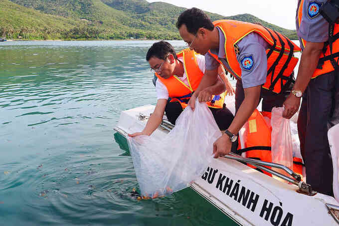 Thả gần 420.000 cá, tôm giống xuống vịnh Nha Trang