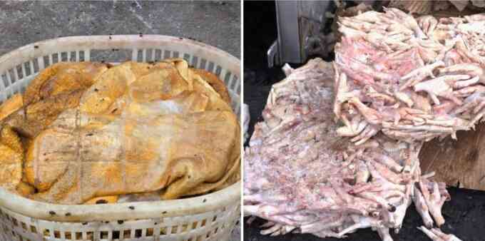 Hơn 25 tấn mực, chân gà bốc mùi bị tiêu hủy