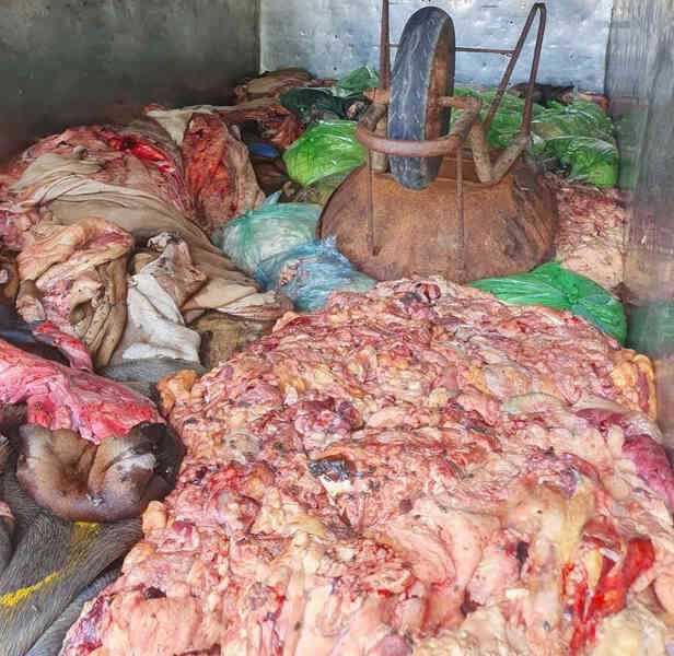 Liên tiếp bắt giữ nhiều tấn nội tạng hôi thối, quá kinh khủng nếu lên bàn ăn