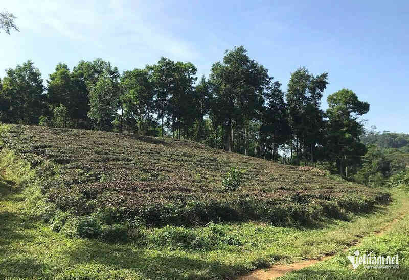 Chuyển 210m2 đất thành đất ở, dân đành bỏ cuộc vì phải nộp hơn 900 triệu đồng