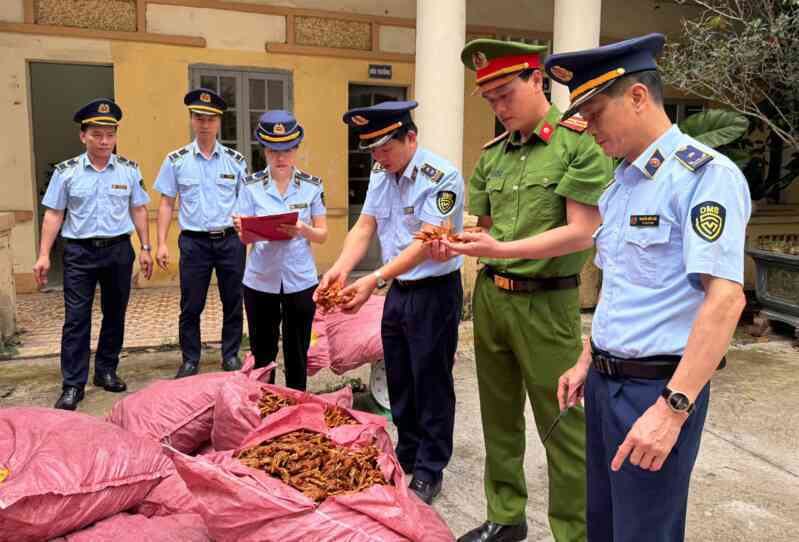 Đẩy mạnh đấu tranh, ngăn chặn tình trạng buôn lậu, hàng giả