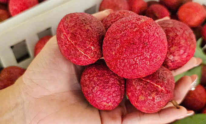 Sốt giá vải không hạt Thanh Hóa