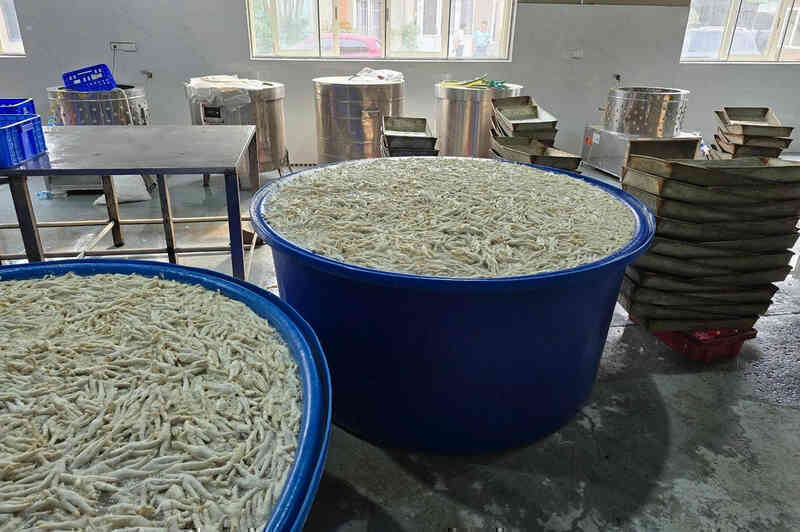 Cảnh sát kiểm tra kho chân gà 13 tấn, phát hiện sự thật khó chấp nhận