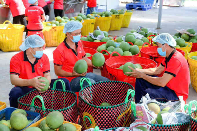 30 năm kinh doanh của doanh nghiệp Việt - Mỹ