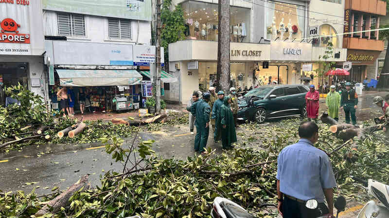 Nhiều cây xanh ngã đổ, đè cả vào ô tô trong mưa giông lớn ở TPHCM