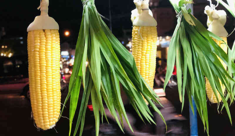 3 không khi ăn ngô luộc