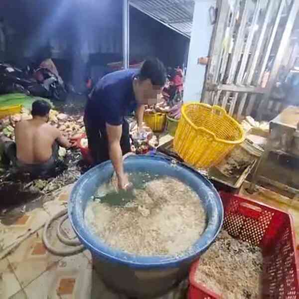 Cảnh sát ập vào bất ngờ, phát hiện 3 cơ sở ngâm hoa chuối với chất tẩy trắng, hàn the