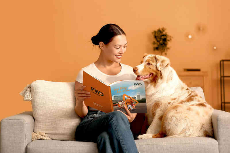 Ứng dụng di động FWD nâng cấp với loạt trải nghiệm mới