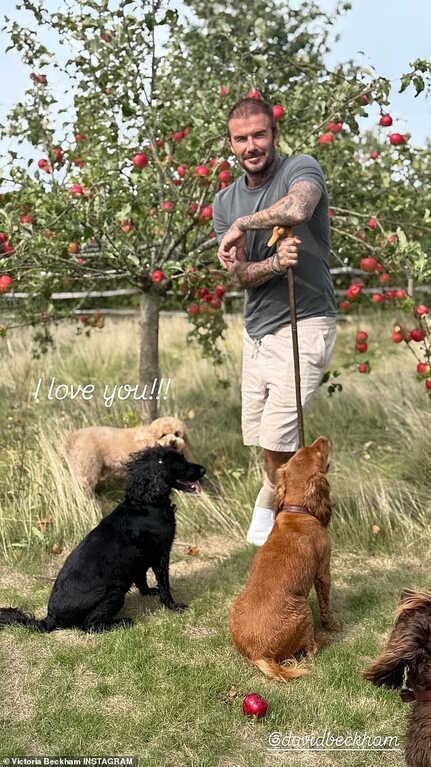 David Beckham tự làm mứt