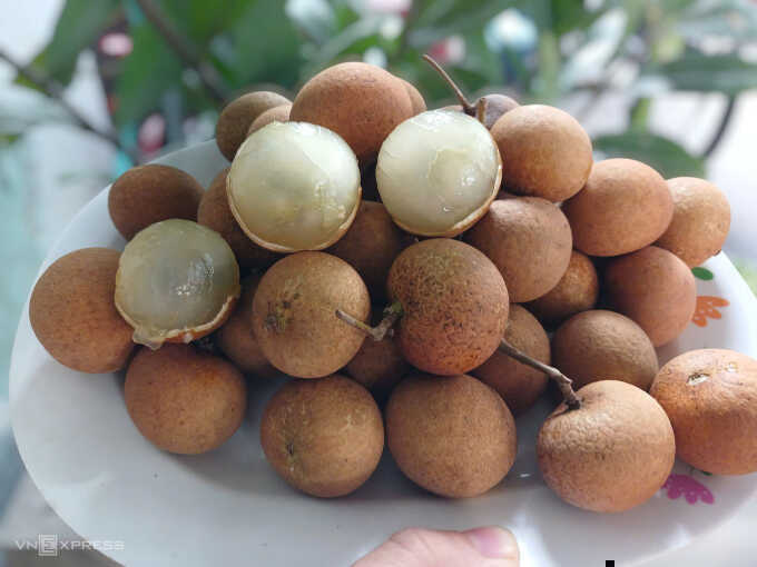 Nhãn bắp cải giảm giá mạnh