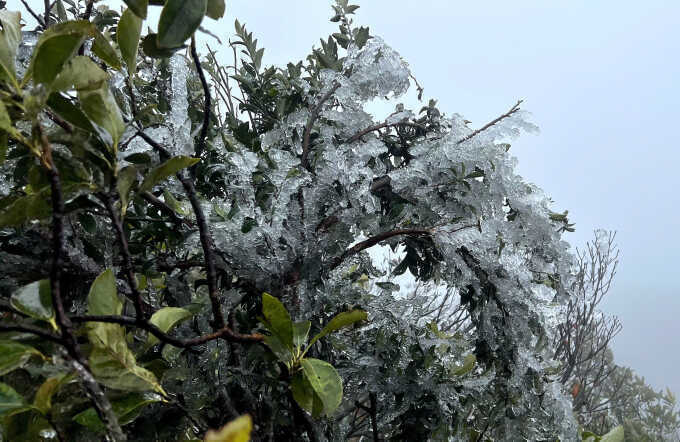 Miền Bắc thấp nhất 1 độ C