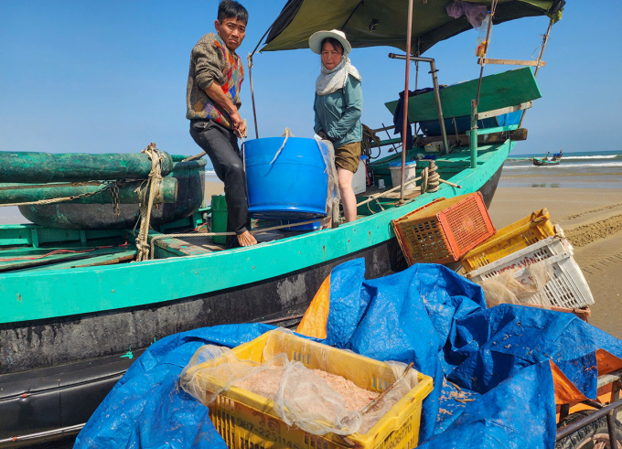 Ngư dân trúng đậm ruốc biển
