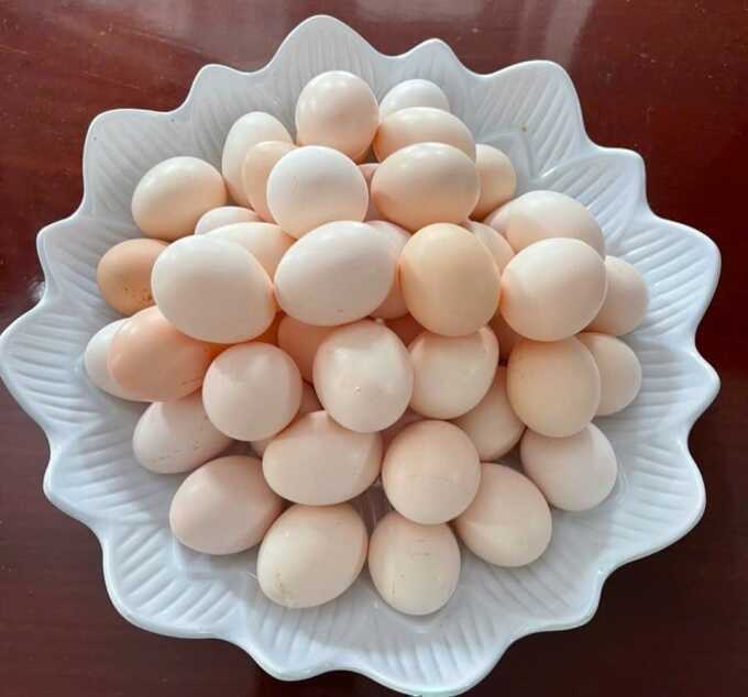 Mắc bệnh gan có nên ăn trứng?