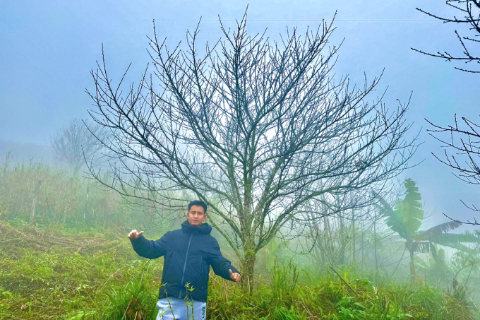 Lên núi cao 2.000 mét 