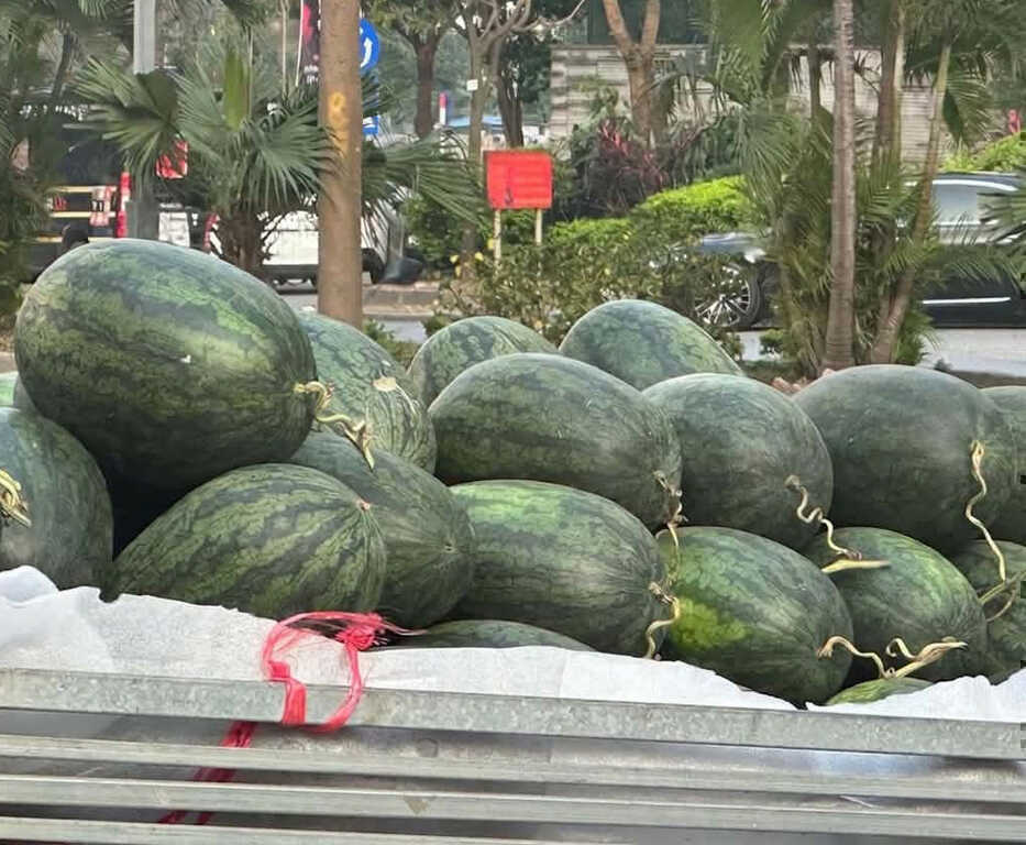 5 loại quả tốt cho người tụt đường huyết