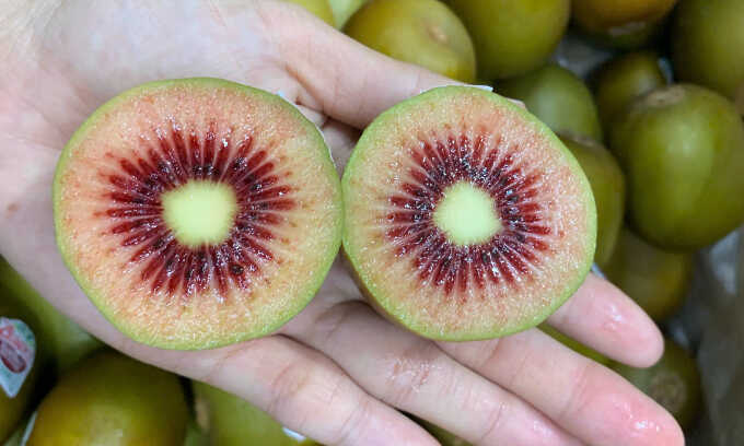 Kiwi ruột đỏ New Zealand 350.000 đồng một kg vẫn hút khách
