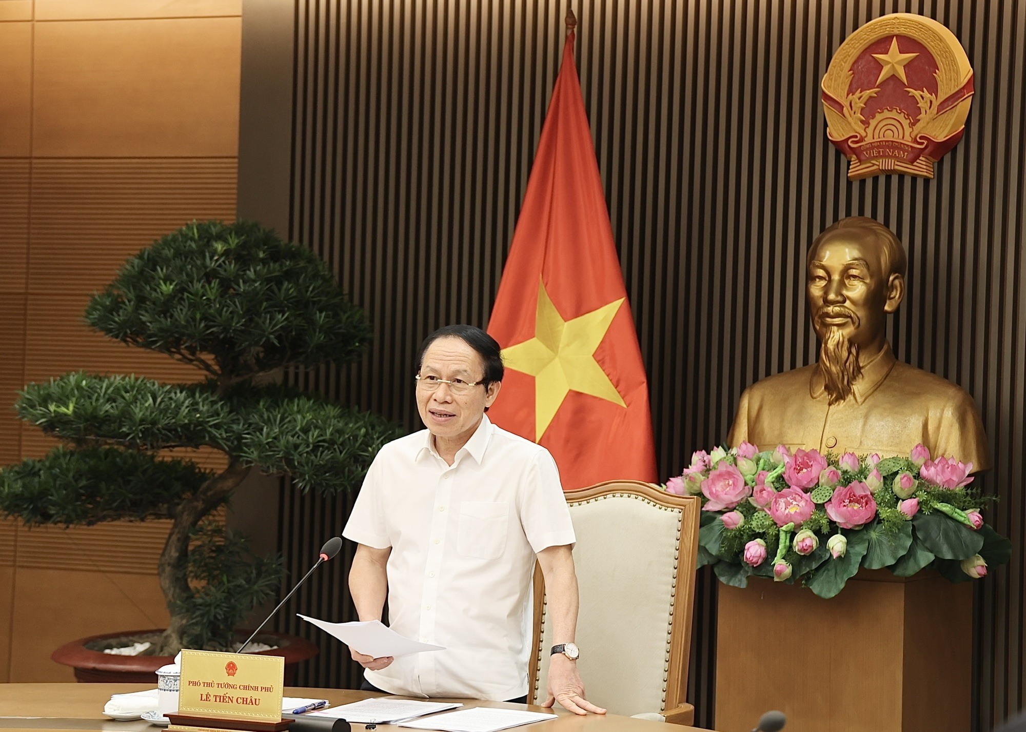 Phó Thủ tướng: Sắp xếp bộ máy của ngành thanh tra phù hợp bối cảnh mới