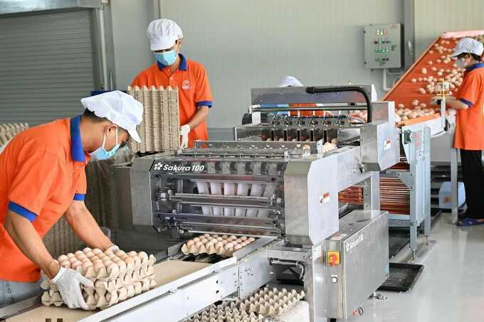 Doanh nghiệp chật vật trong vòng xoáy chi phí