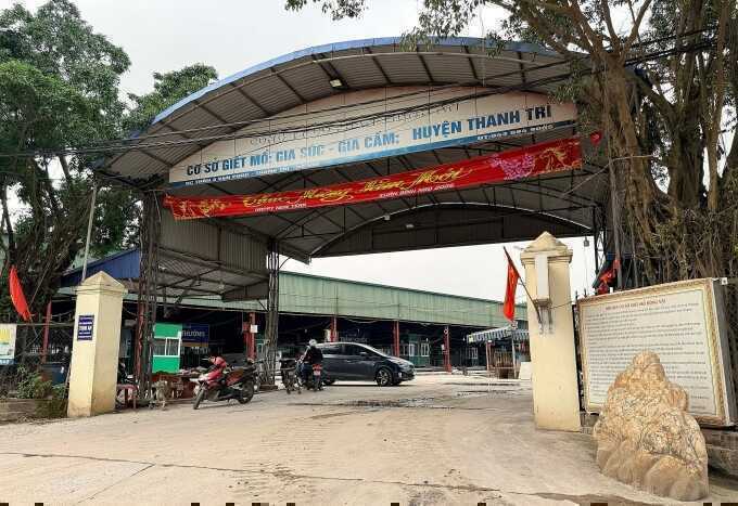 Trinh sát giả thương lái để phá đường dây tuồn lợn bệnh ra thị trường