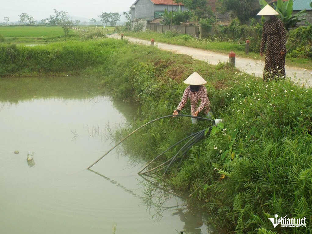Người dân dùng nước ao hồ để sinh hoạt giữa nắng nóng gay gắt