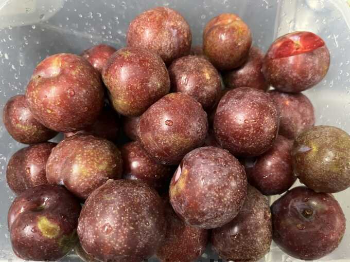 Ăn mận có ngừa ung thư?