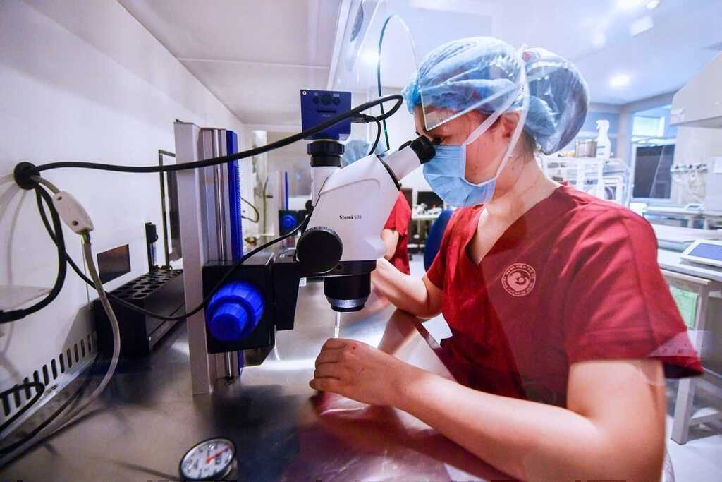 Nữ bệnh nhân ở TPHCM vượt khó làm mẹ sau 4 năm điều trị ung thư tử cung