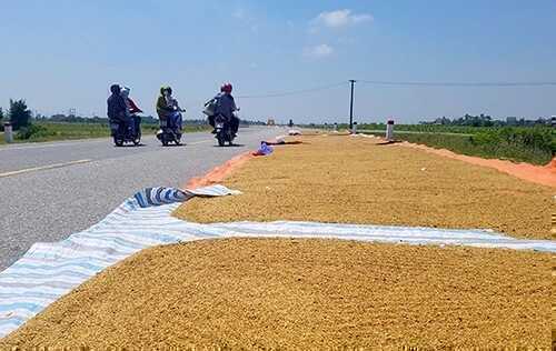 Lái xe qua đoạn đường phơi lúa, rơm rạ như thế nào cho an toàn?