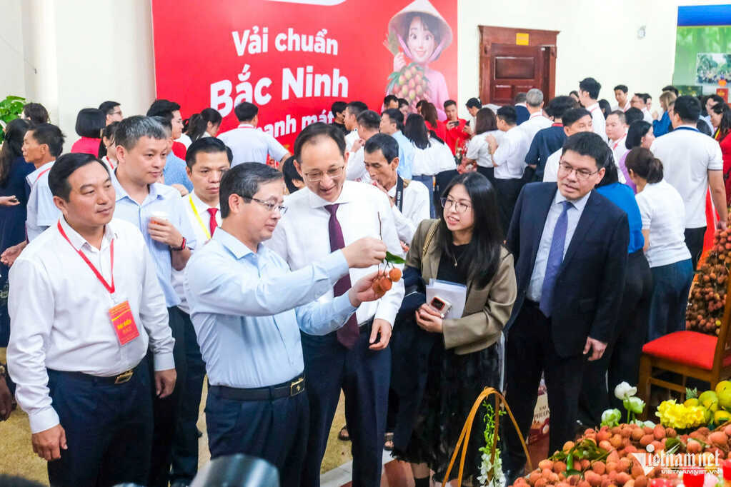 Không chỉ bán theo mùa, Bắc Ninh muốn nâng tầm vải thiều thành nông sản cao cấp
