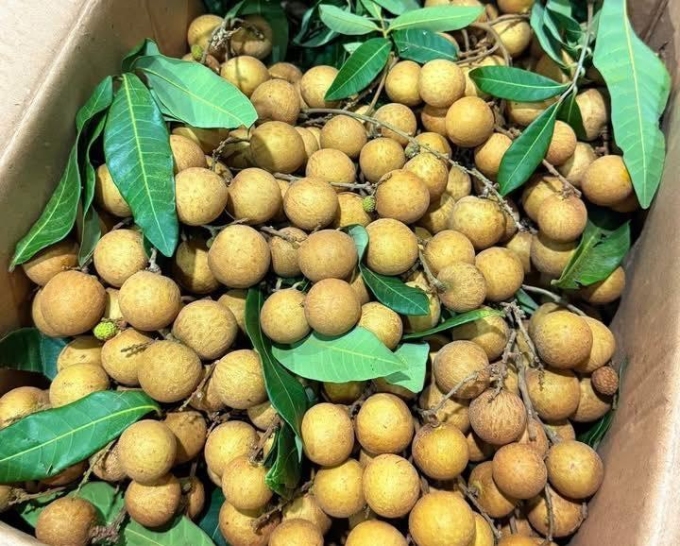 Sai lầm thường gặp khi ăn nhãn