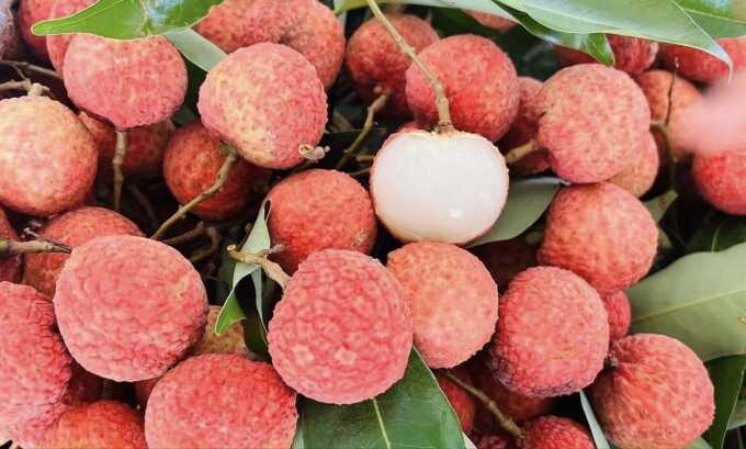 3 điều `cấm kỵ` cần tránh khi ăn vải